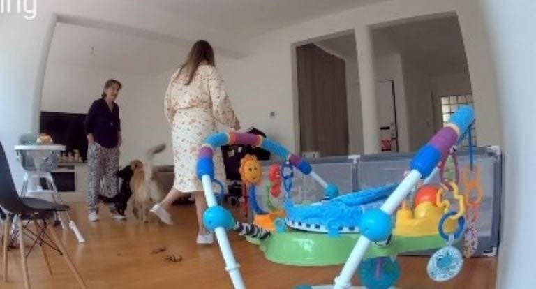 Caso Carolina Flores Gómez: hallan sin vida a exreina de belleza en Polanco; investigan feminicidio